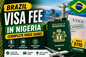 Brazil Visa Fee in Nigeria