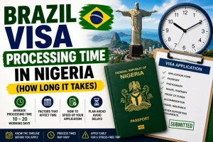 Brazil Visa Processing Time in Nigeria